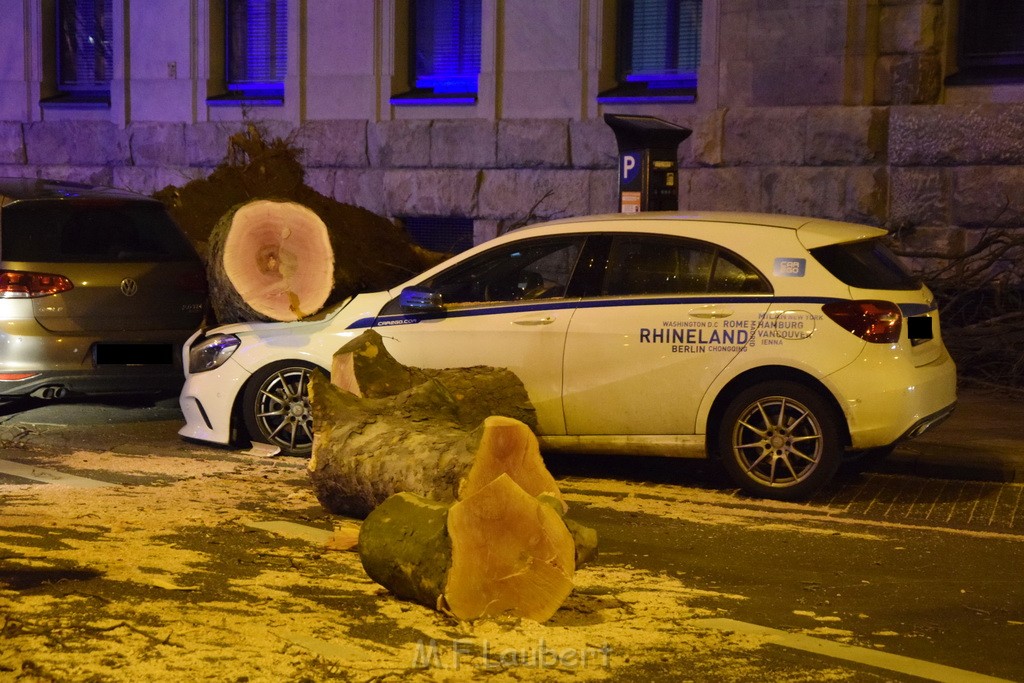 Baum auf PKWs Koeln Mitte Rheinuferstr Goldgasse P105.JPG - Miklos Laubert